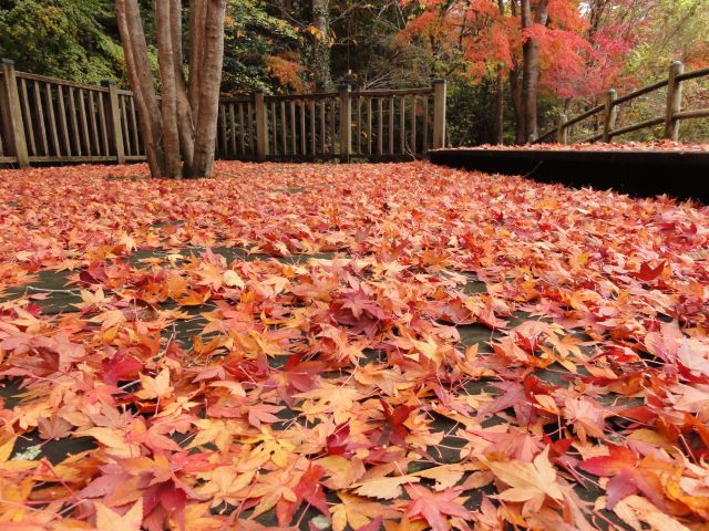 松原自然公園3