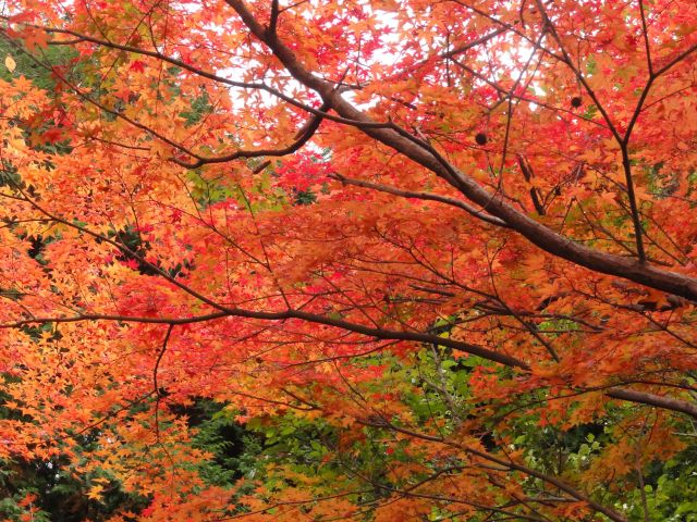 松原自然公園5