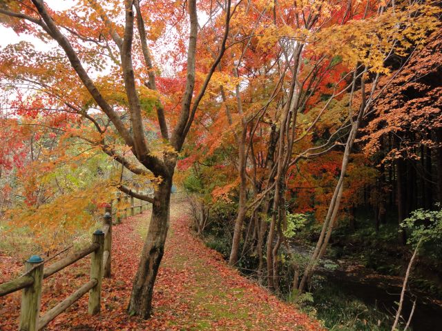 松原自然公園9