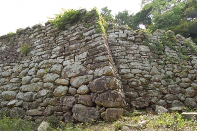 kanatanoki02