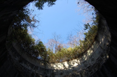toyohoudai01