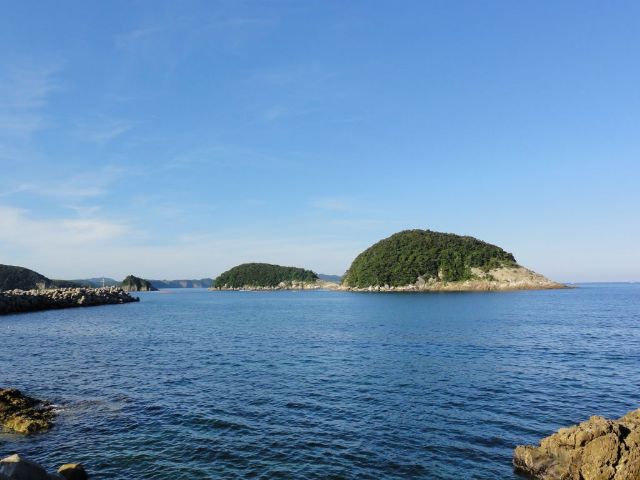 根緒