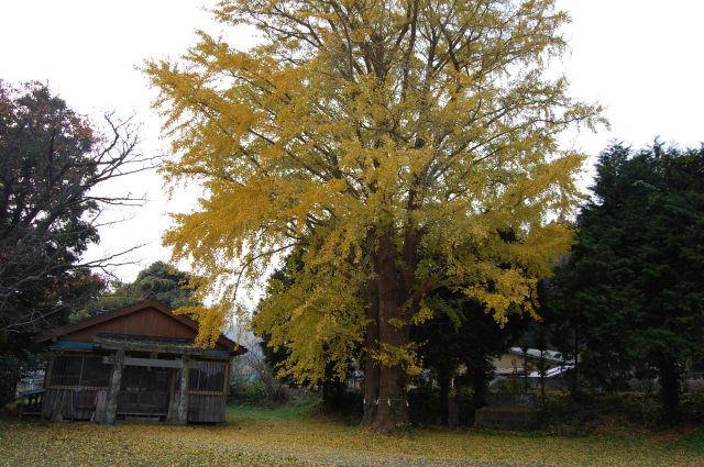 白嶽神社(洲藻)
