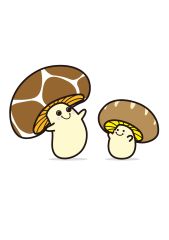どんこブラザース