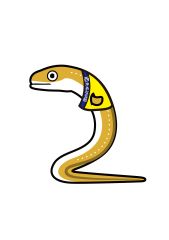 西沖あな五郎