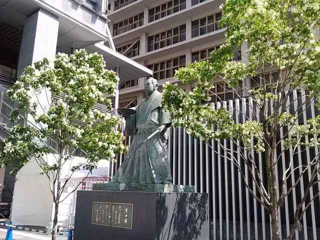 博多駅・ヒトツバタゴ