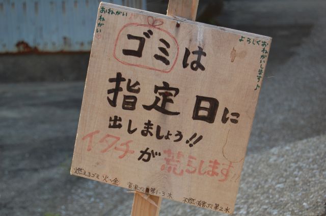 イタチ注意