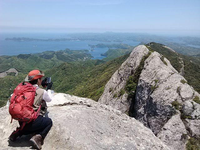 龍良山のスダジイ