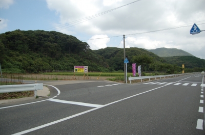 入口
