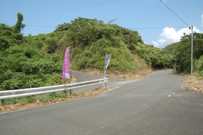 ブルーベリー農園入口