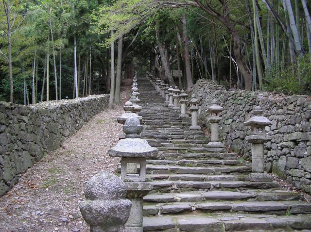 百雁木