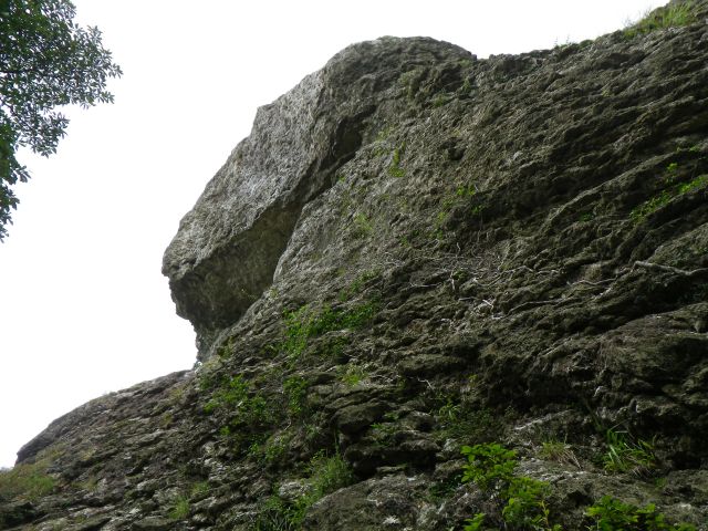 山頂直下
