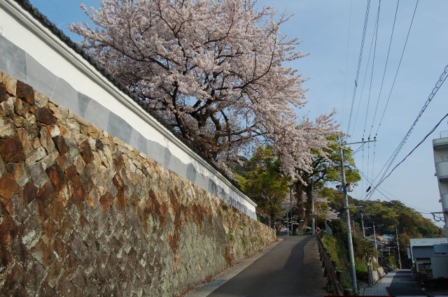 金石城の石垣