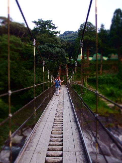 鮎もどし自然公園