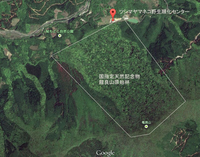龍良山地図