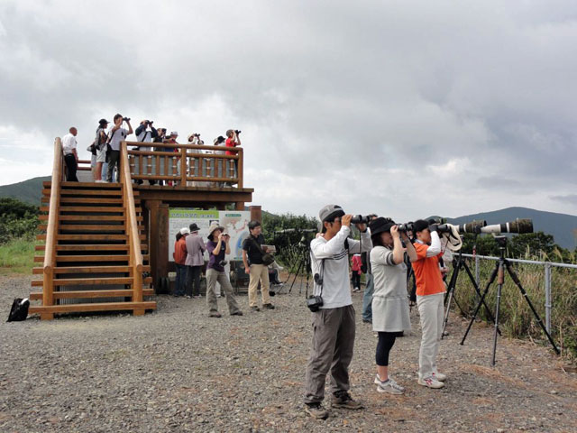 アカハラダカ観察会