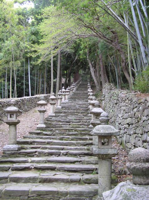 百雁木