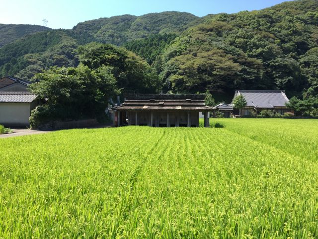石屋根