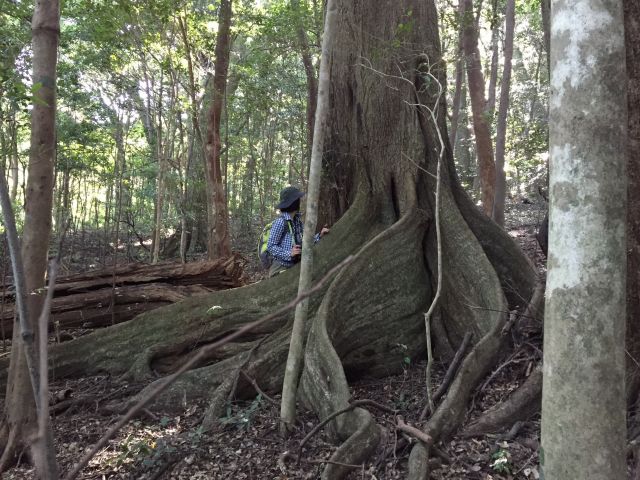 龍良山