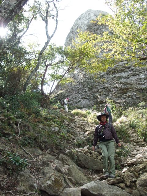 Y村さん