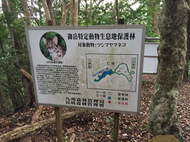 ヤマネコ看板