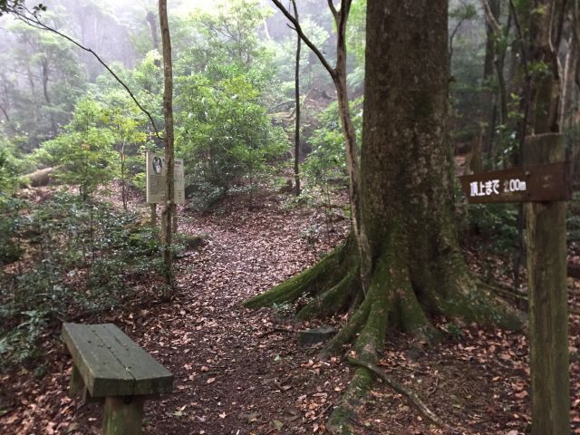 御岳・平岳分岐点