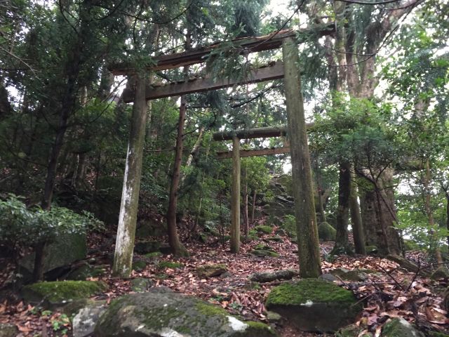 山頂の鳥居