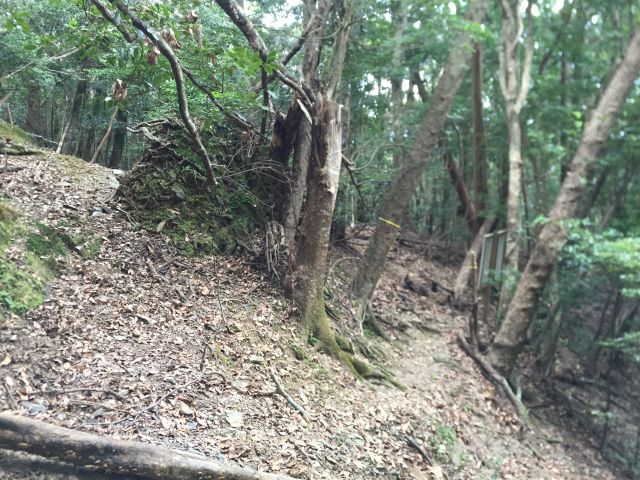 迷いやすい場所
