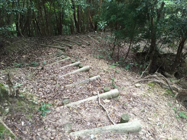 平岳登山口近くの登山道