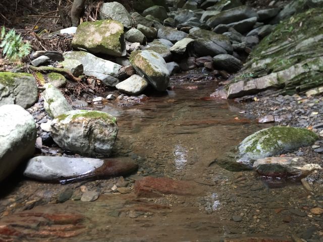 御岳登山口の沢