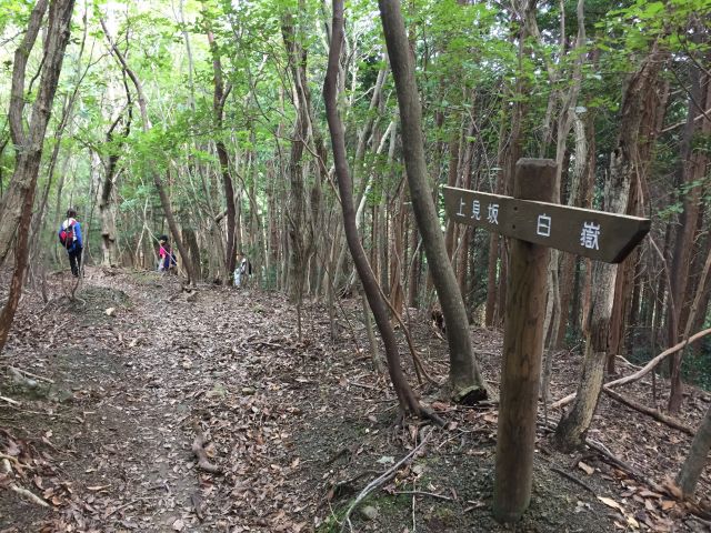 登山道リボン(白嶽〜上見坂)1
