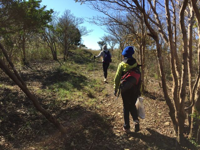有明山山頂近く