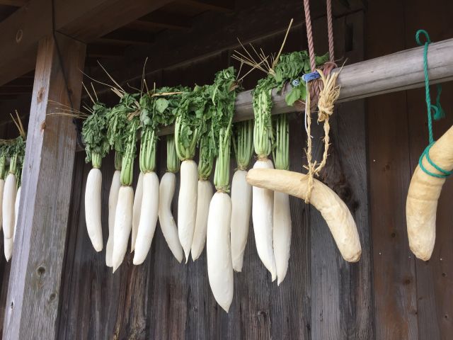 干し大根