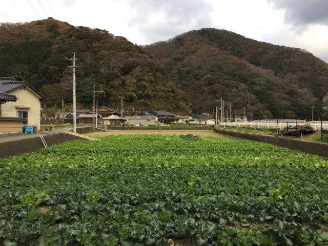 阿連の風景