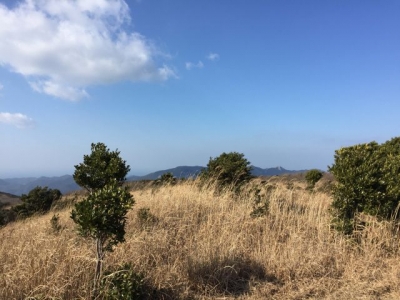 有明山から白嶽を望む