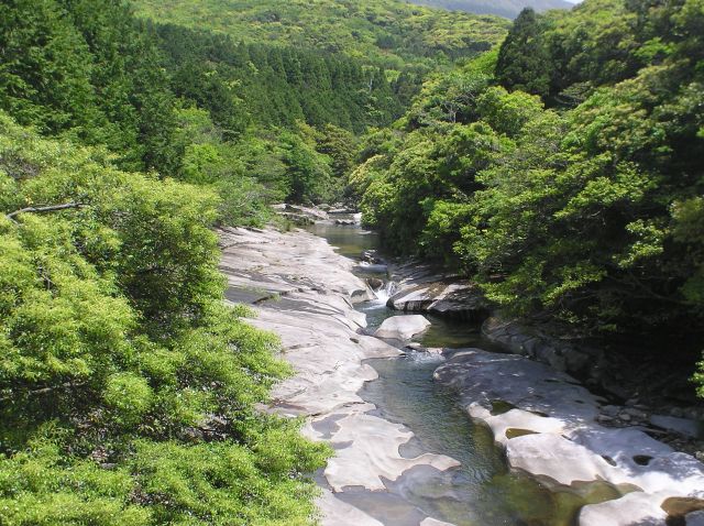 鮎戻し自然公園01