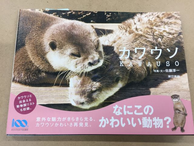 カワウソ