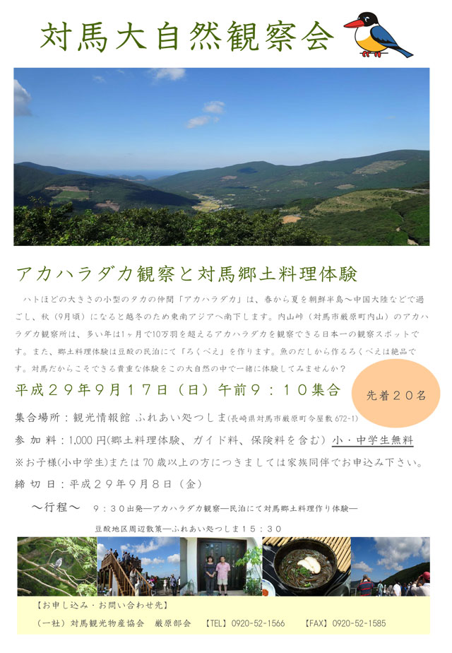 アカハラダカ観察会