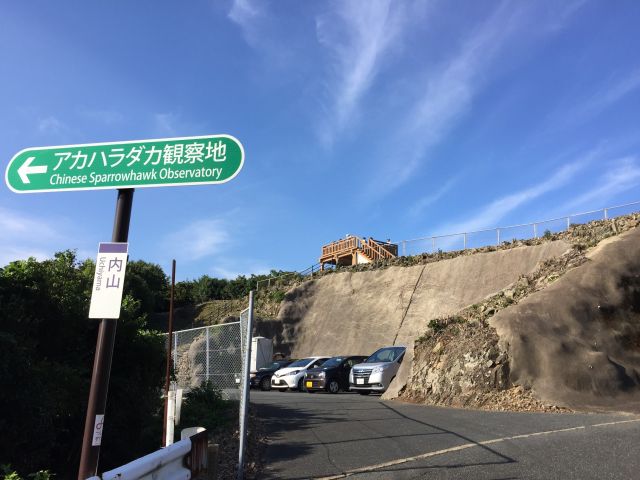 アカハラダカ観察所
