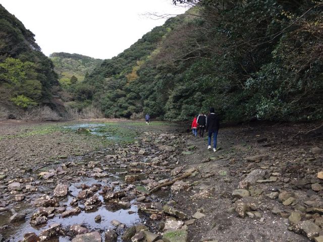 美津島町の神社
