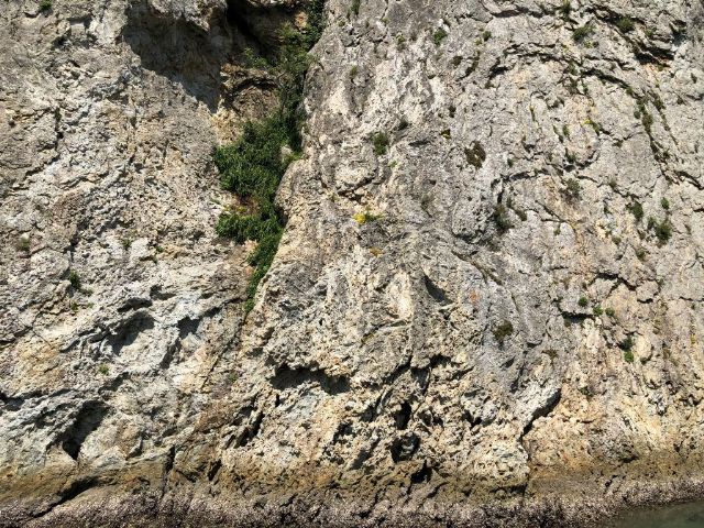 2018-06-02 059_small_640.jpg