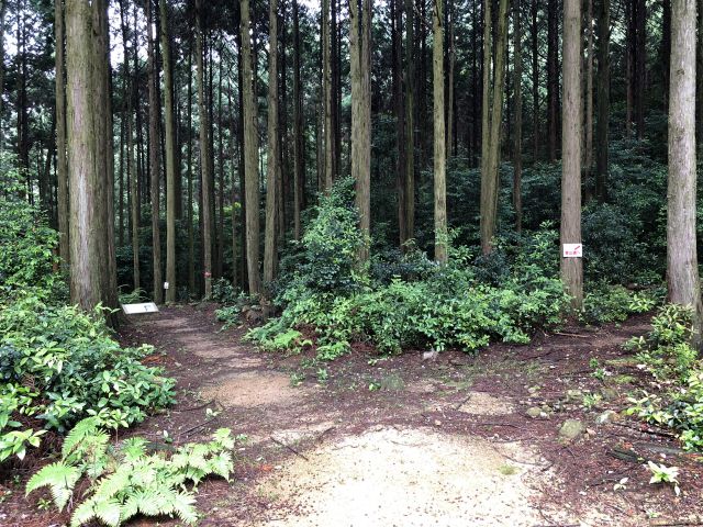 ビングシ山