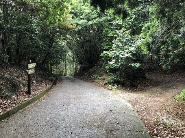洲藻への軍道分岐