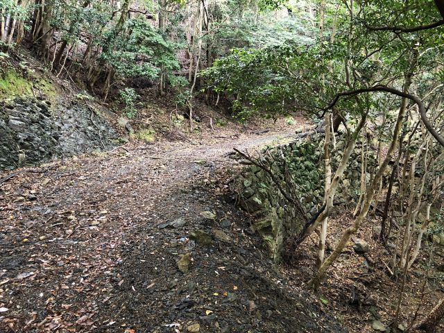 洲藻軍道