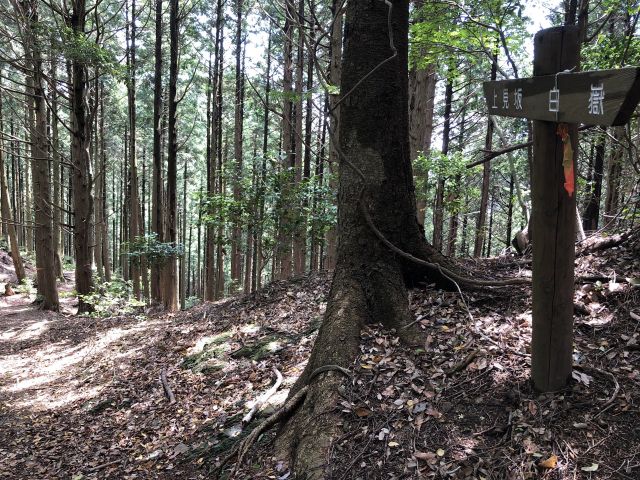 上見坂〜白嶽登山道