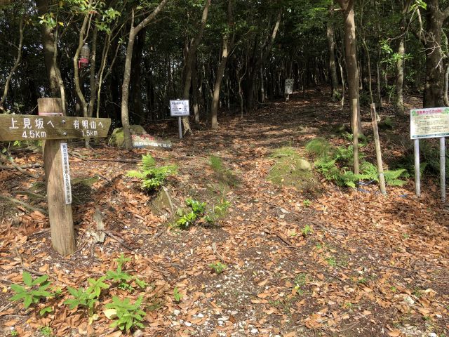 薄暗い山道