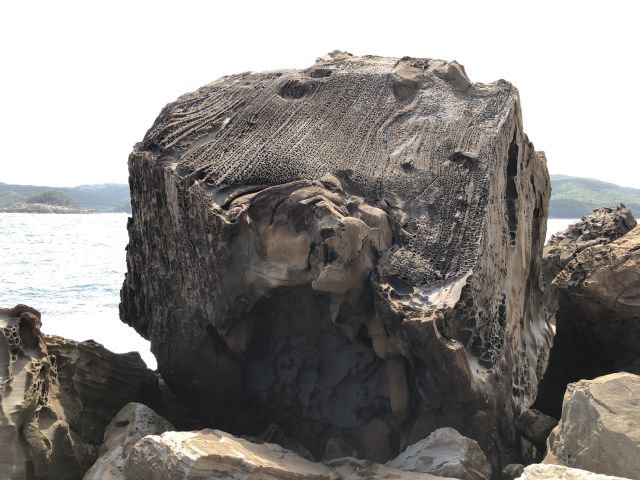 縦筋