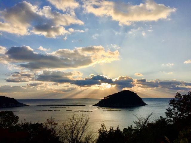 根緒・朝日