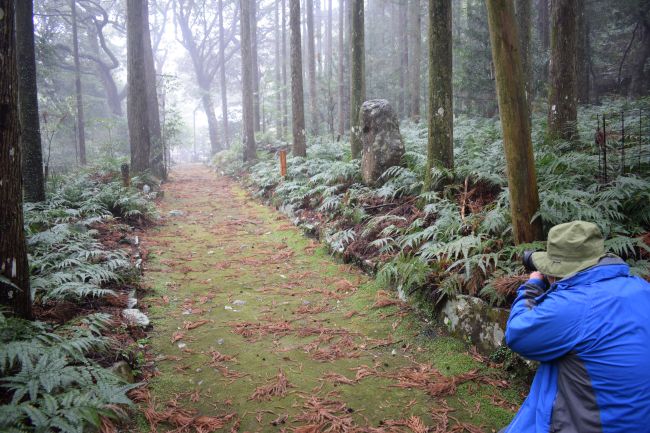 DSC_0593_650.jpg