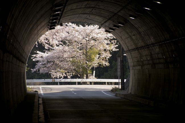 トンネル前01_small650.jpg